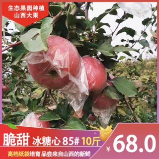 【山西运城苹果——高档纸袋】85# 苹果冰糖心新鲜水果10斤带箱脆甜爽口