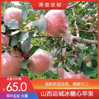 【山西运城苹果——高档纸袋】80# 苹果冰糖心新鲜水果10斤带箱脆甜爽口