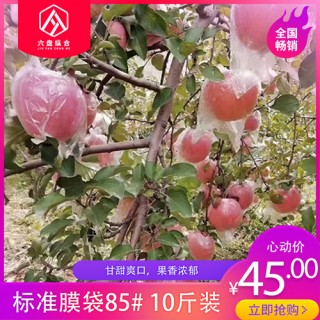 【山西运城苹果——标准膜袋】85# 苹果冰糖心新鲜水果10斤带箱脆甜爽口